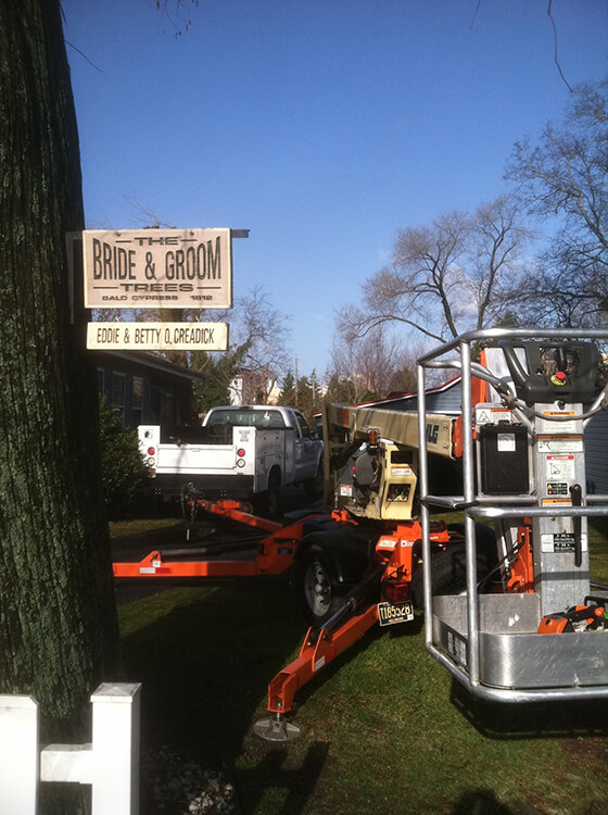 83_img-0184 Tri-State Tree Service Gallery
