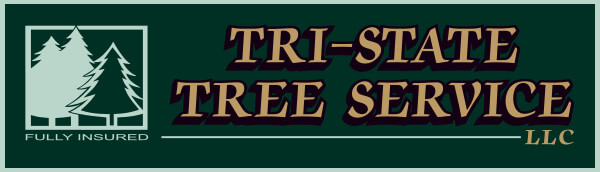 tri state tree logo